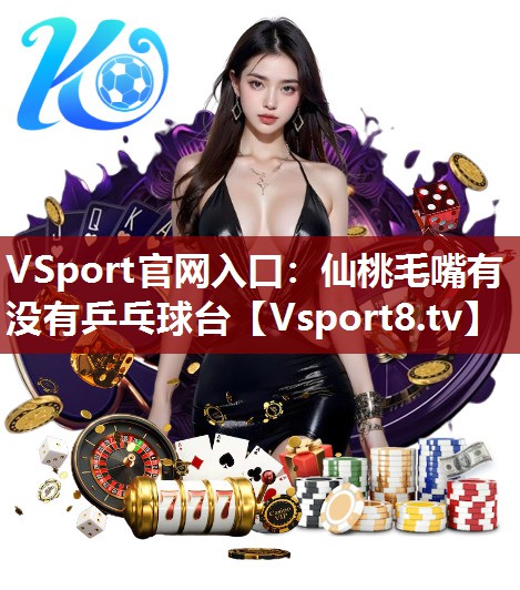 VSport官网入口：仙桃毛嘴有没有乒乓球台