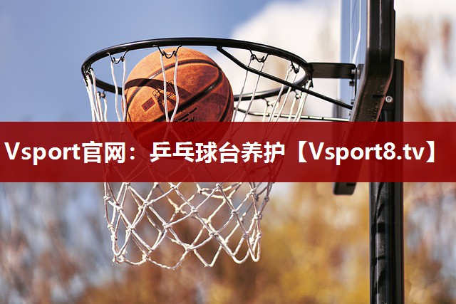 Vsport官网：乒乓球台养护