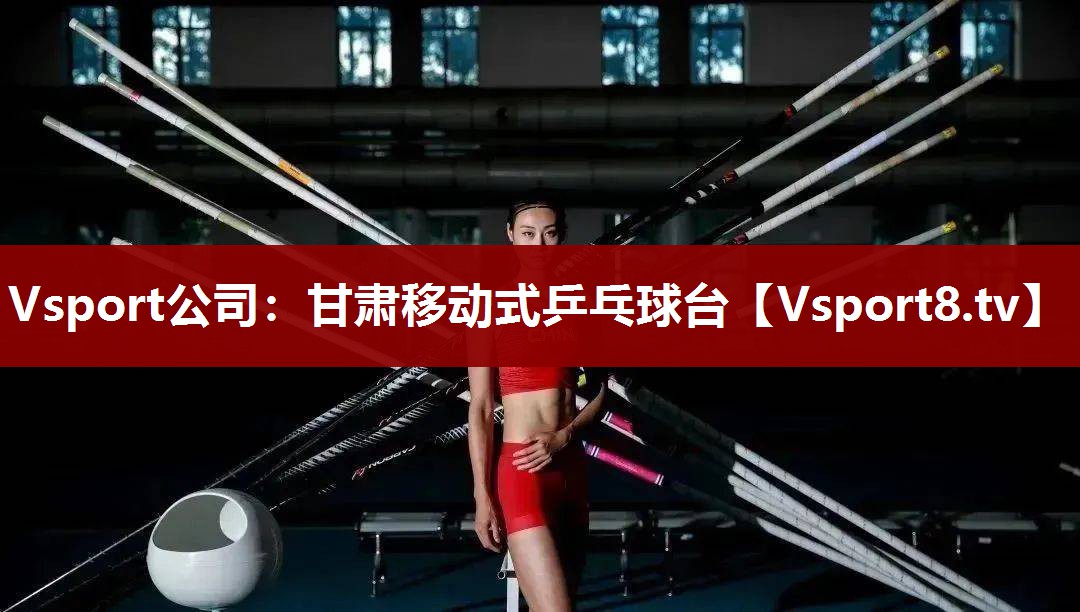 Vsport公司：甘肃移动式乒乓球台
