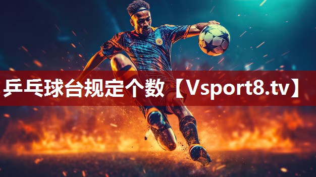 乒乓球台规定个数