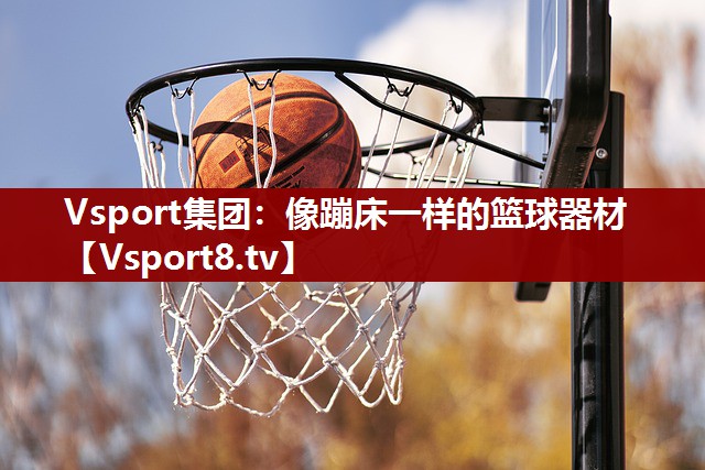 Vsport集团：像蹦床一样的篮球器材
