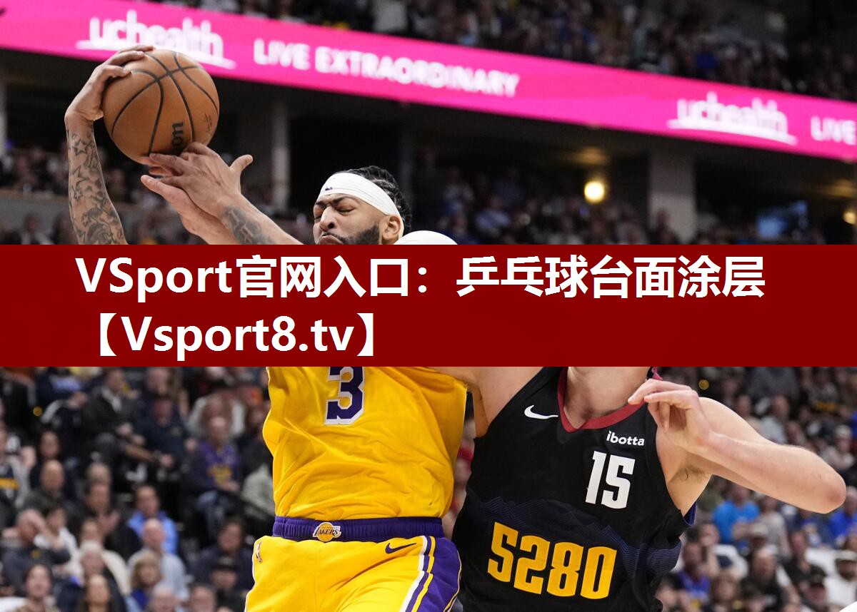 VSport官网入口：乒乓球台面涂层