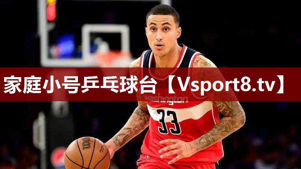 家庭小号乒乓球台