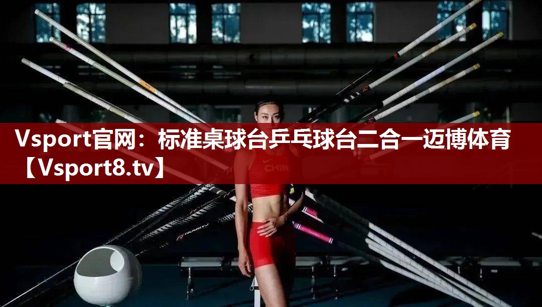 Vsport官网：标准桌球台乒乓球台二合一迈博体育