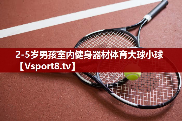 2-5岁男孩室内健身器材体育大球小球