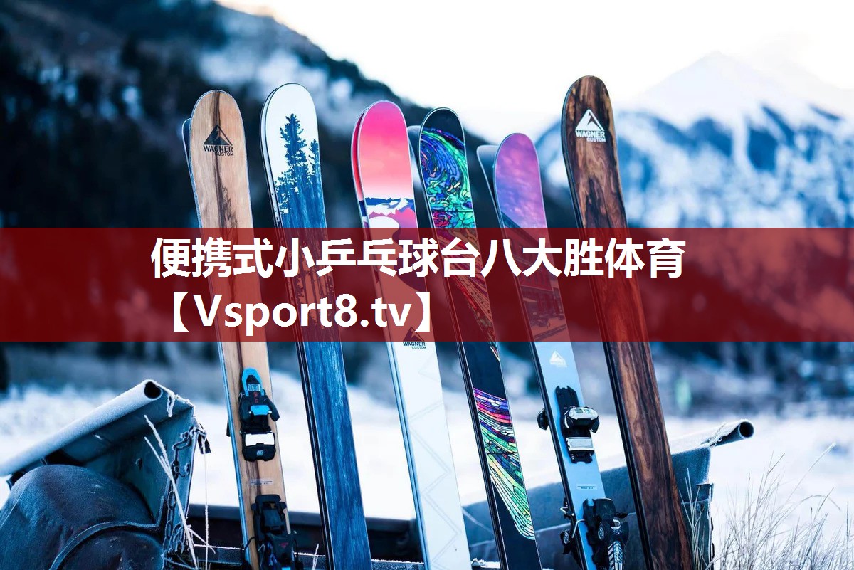 便携式小乒乓球台八大胜体育