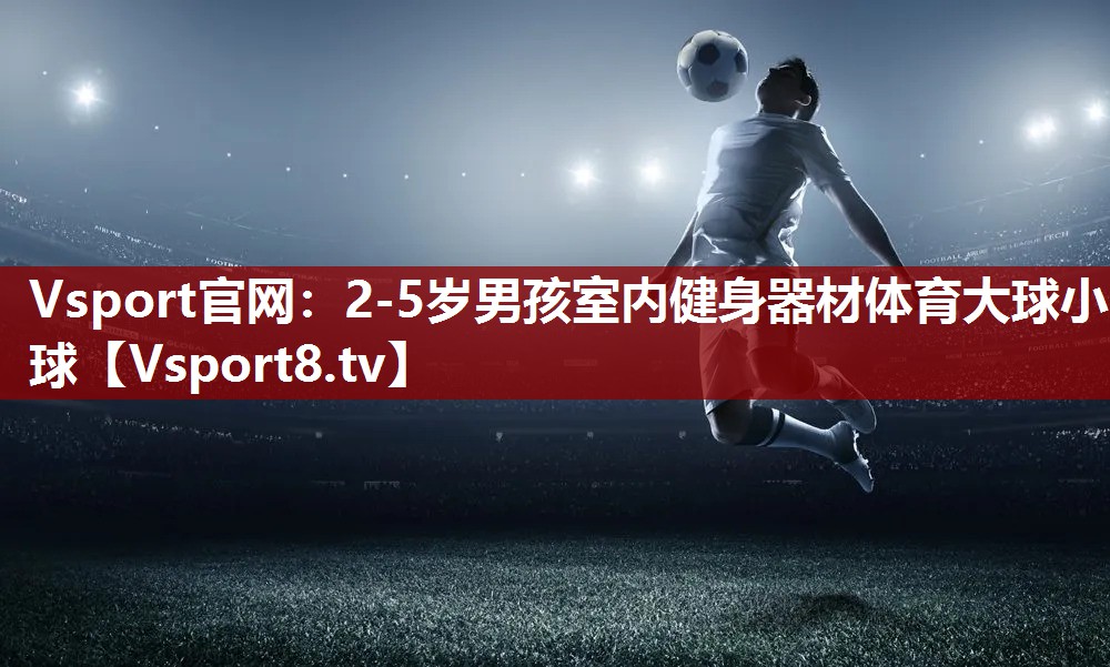 Vsport官网：2-5岁男孩室内健身器材体育大球小球