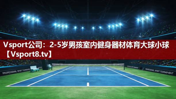Vsport公司：2-5岁男孩室内健身器材体育大球小球