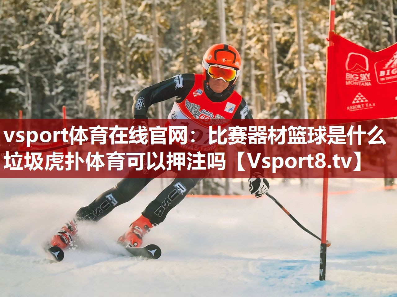 vsport体育在线官网：比赛器材篮球是什么垃圾虎扑体育可以押注吗