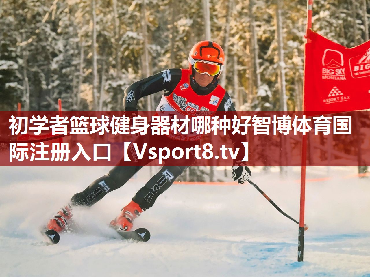 初学者篮球健身器材哪种好智博体育国际注册入口