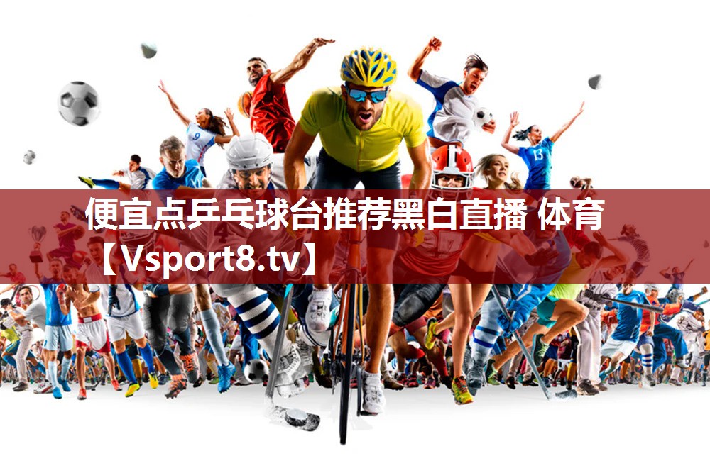便宜点乒乓球台推荐黑白直播 体育