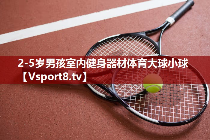 2-5岁男孩室内健身器材体育大球小球