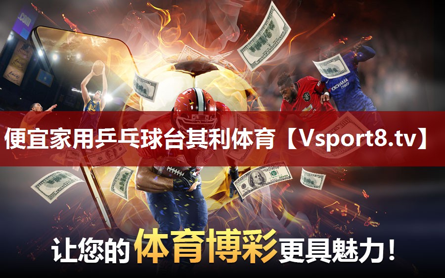便宜家用乒乓球台其利体育