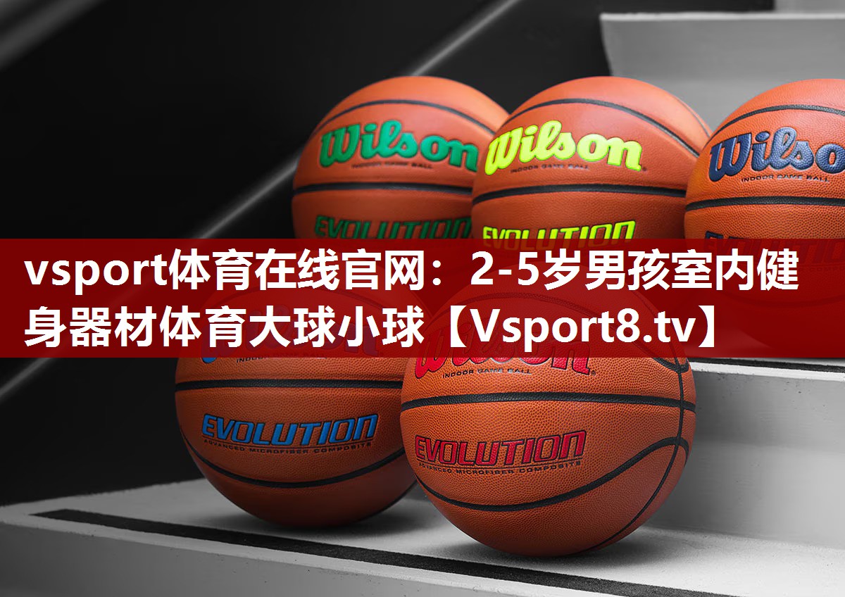 vsport体育在线官网：2-5岁男孩室内健身器材体育大球小球