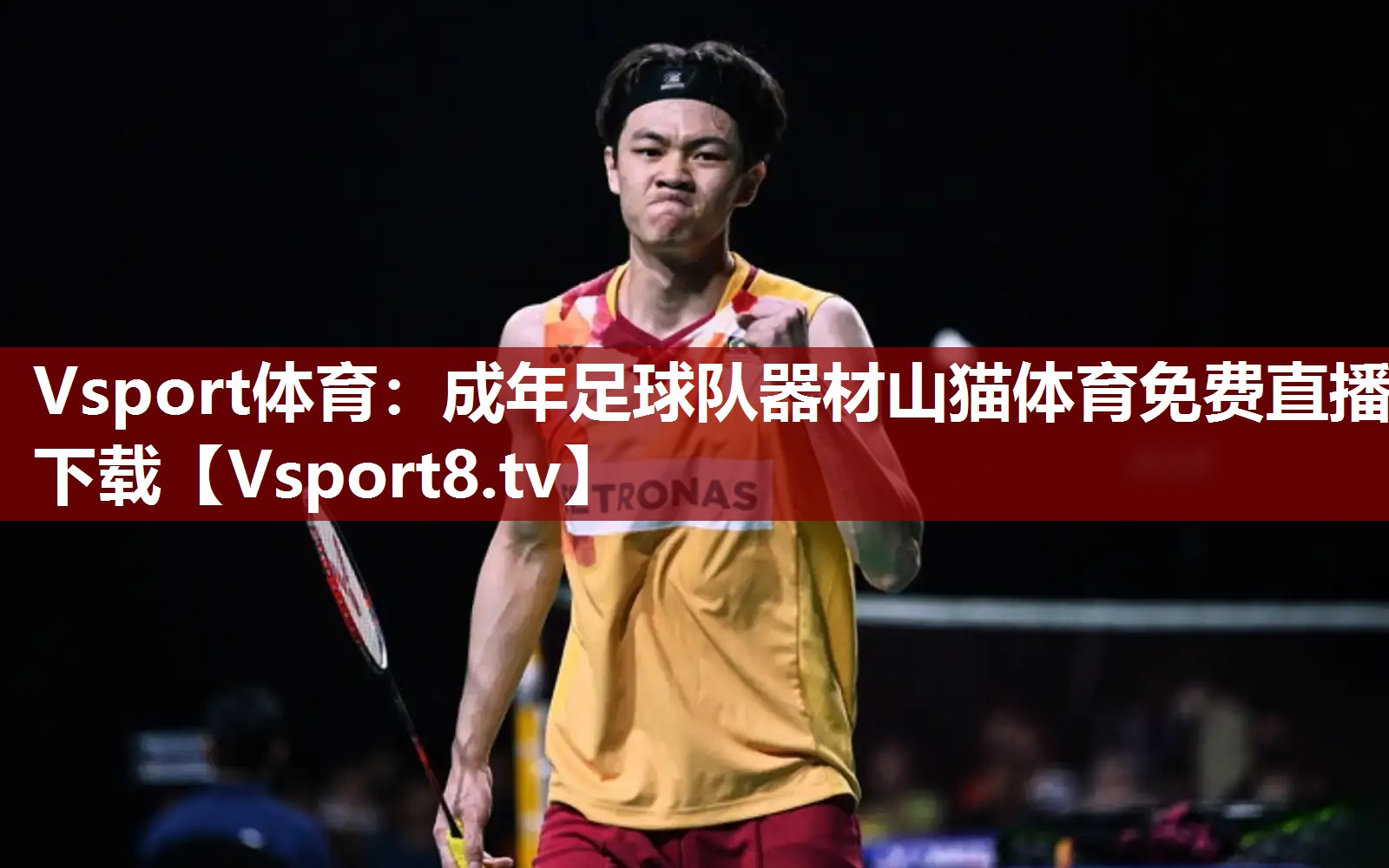 Vsport体育：成年足球队器材山猫体育免费直播下载