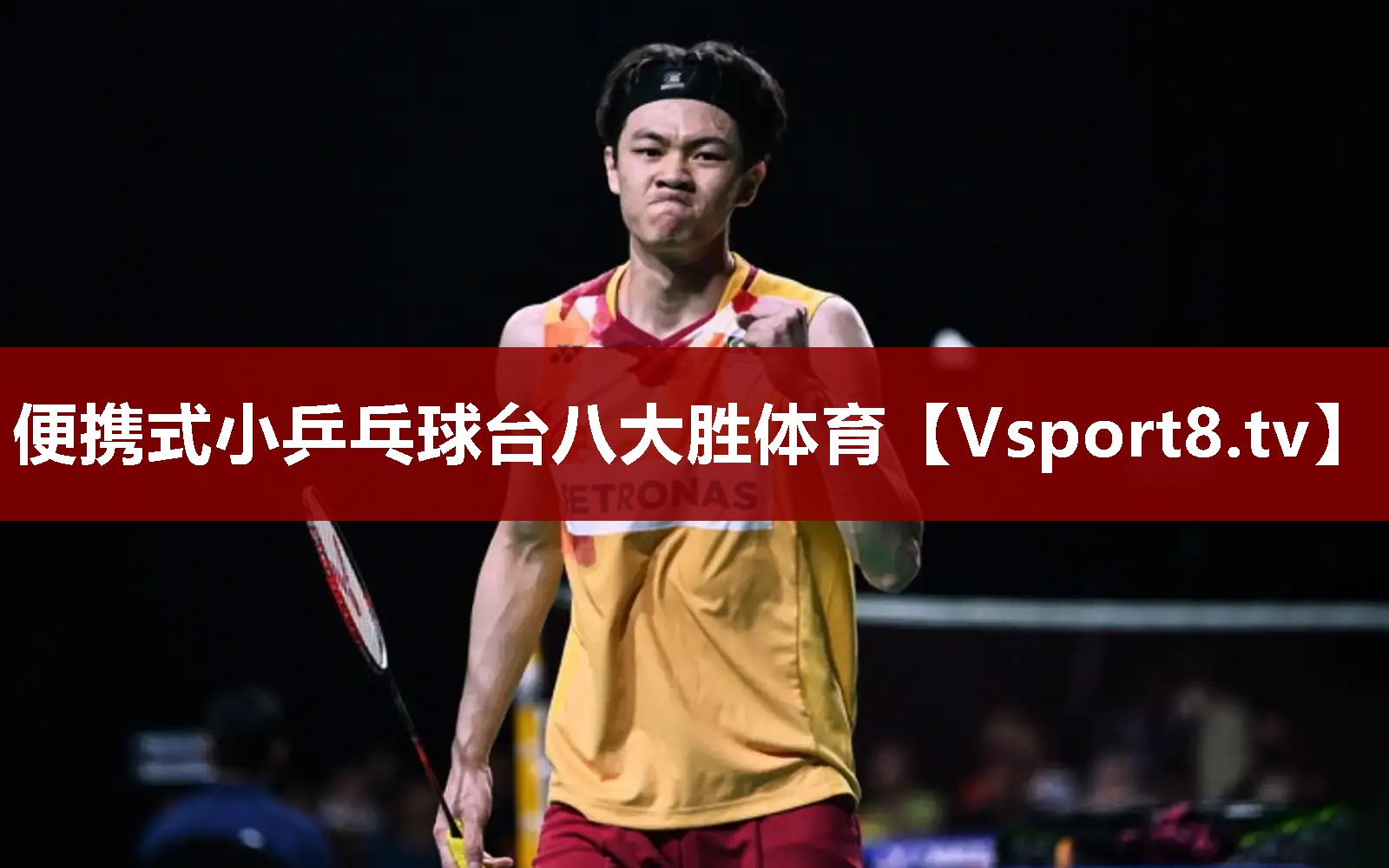便携式小乒乓球台八大胜体育