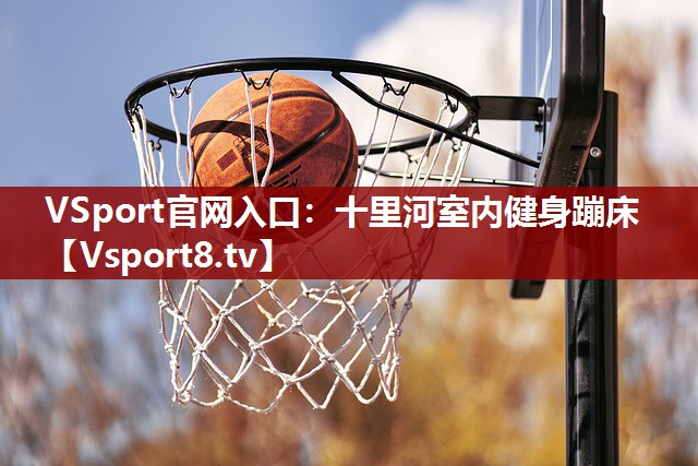 VSport官网入口：十里河室内健身蹦床