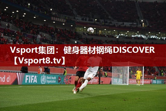 Vsport集团：健身器材钢绳DISCOVER