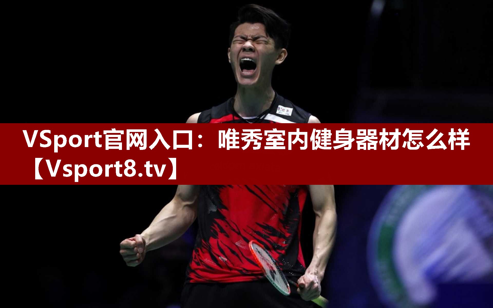 VSport官网入口：唯秀室内健身器材怎么样