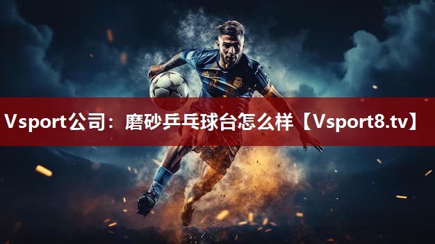 Vsport公司：磨砂乒乓球台怎么样