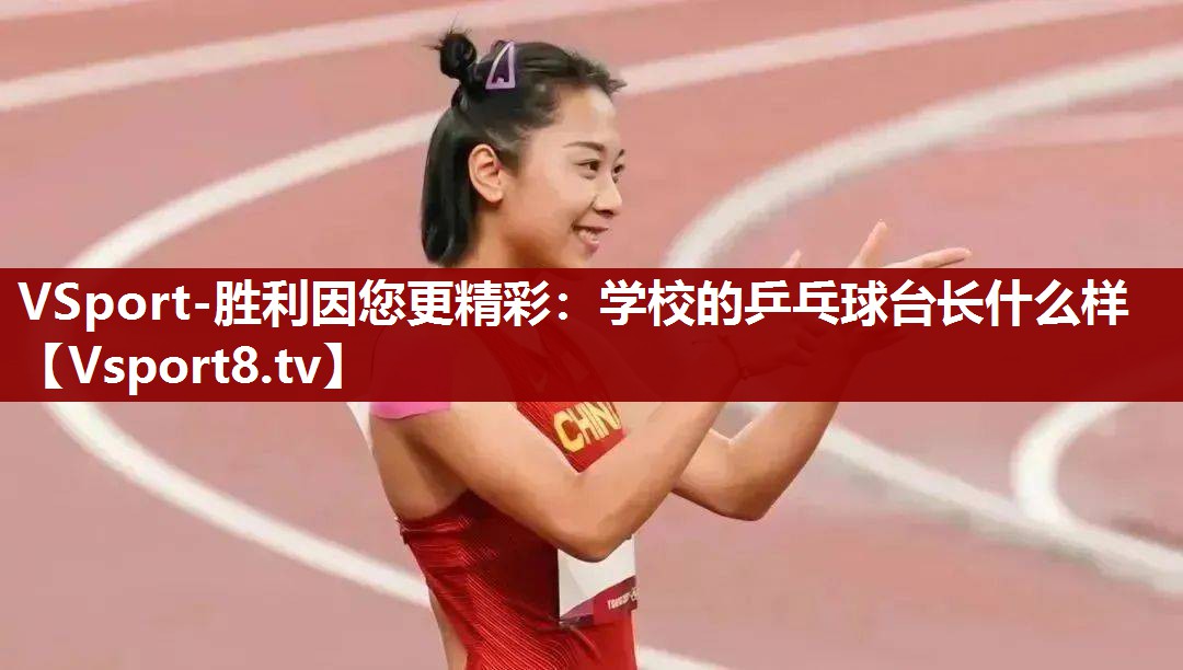 学校的乒乓球台长什么样